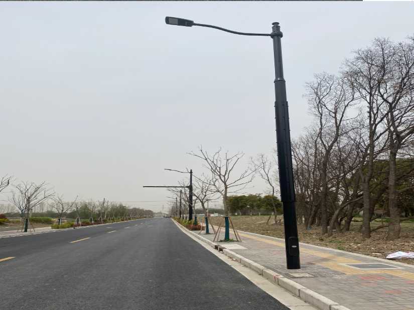 凌云县上海综合杆 太阳能路灯工程